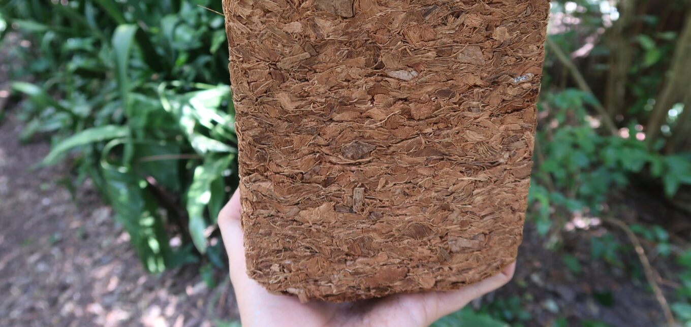 Coconut Coir vs. Peat Moss – Mother Earth News - Vimarsana News